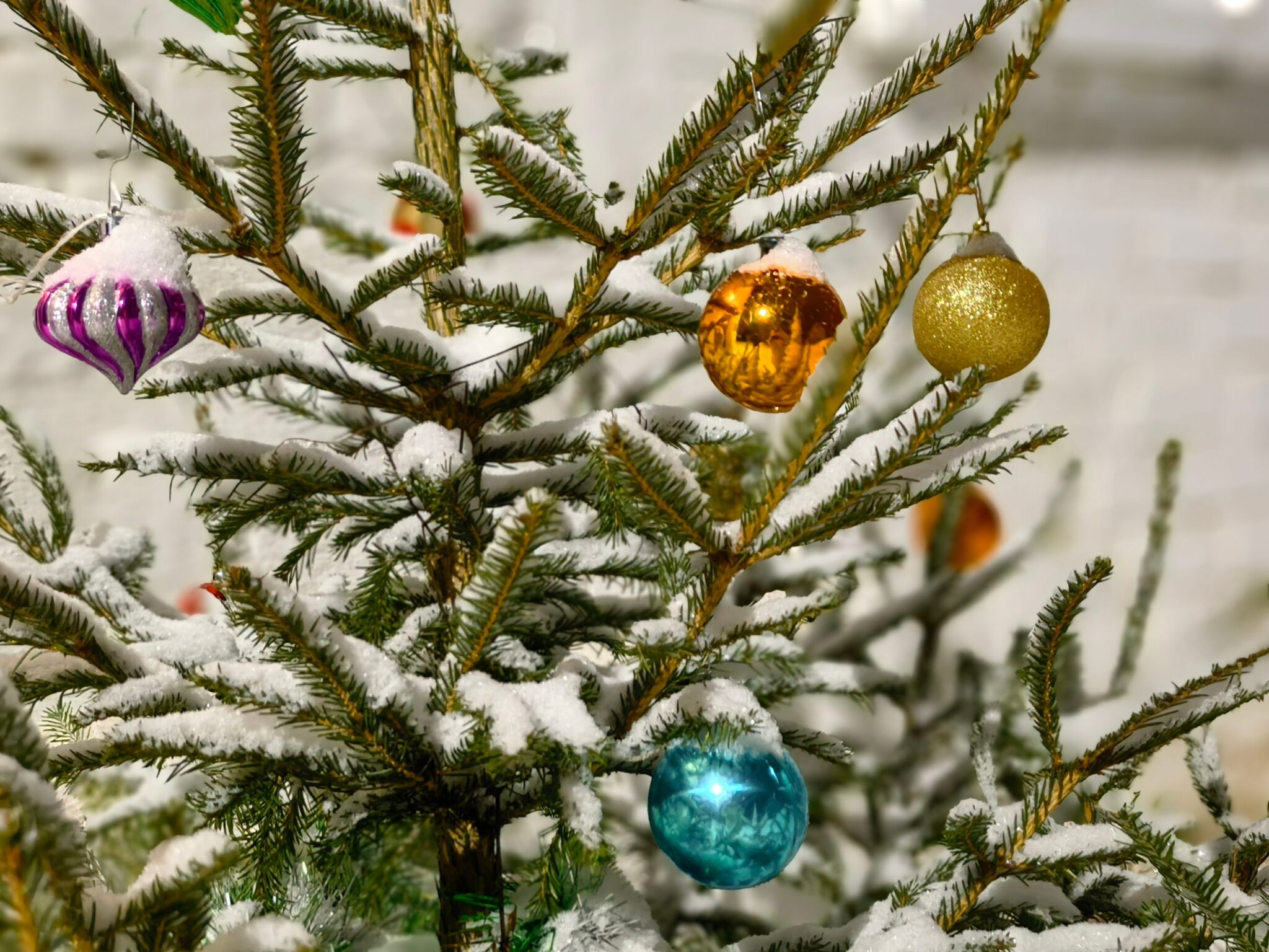 1-Eh6Qx1WFbSCtqIBq2ZFH3fqDF43X5VJDi6XOG4mDf_bi11DTHv0_7-oHdtAj6Jz_7yieblDwf1reX8