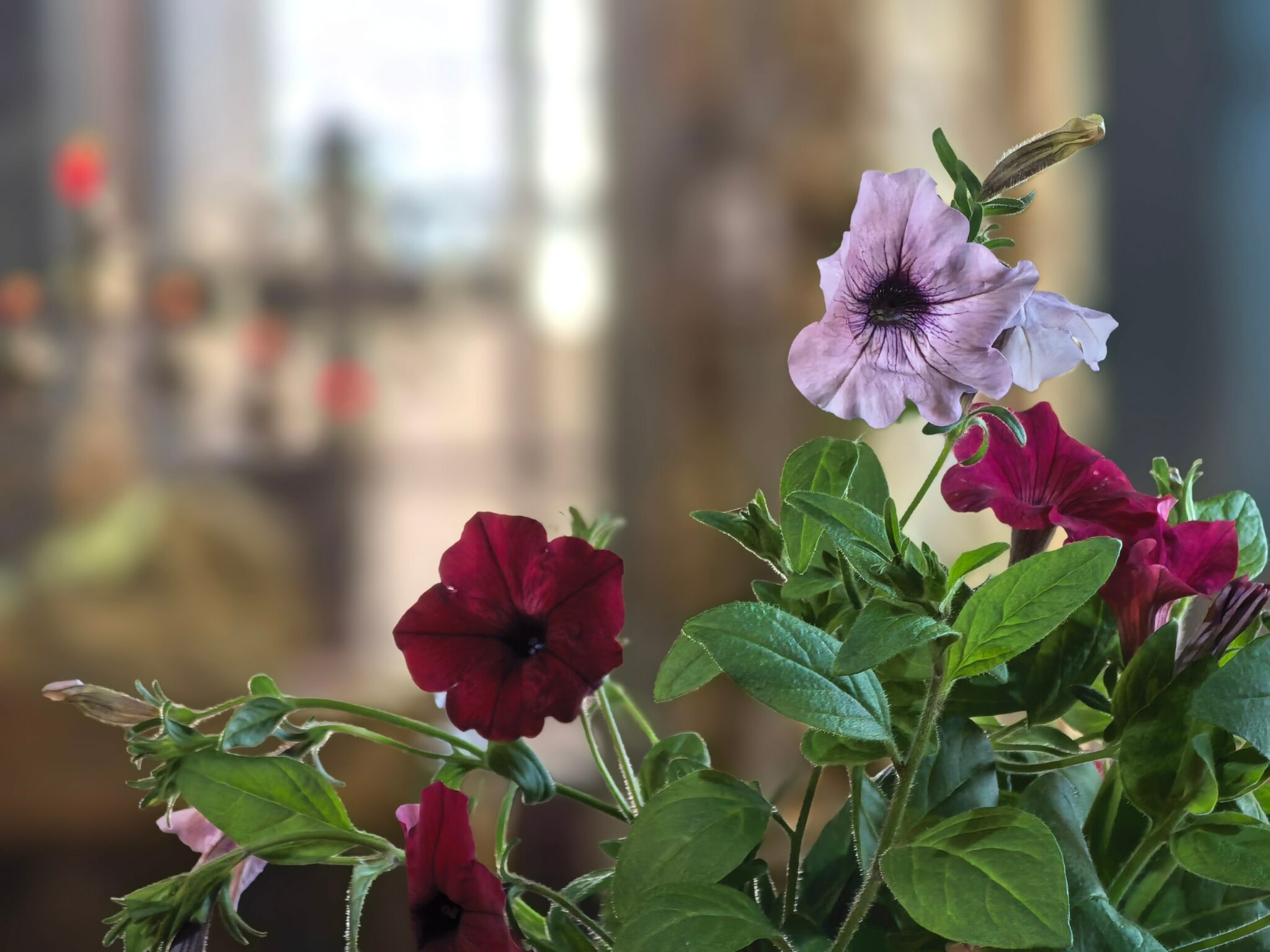 2-di0MOduI2aCfWD11YLcRaCecNIWI_PAu92cT6q8_p0CW0lGdA-OPvPIXBUhe6zDnJ5hW2kUBqtbwEs